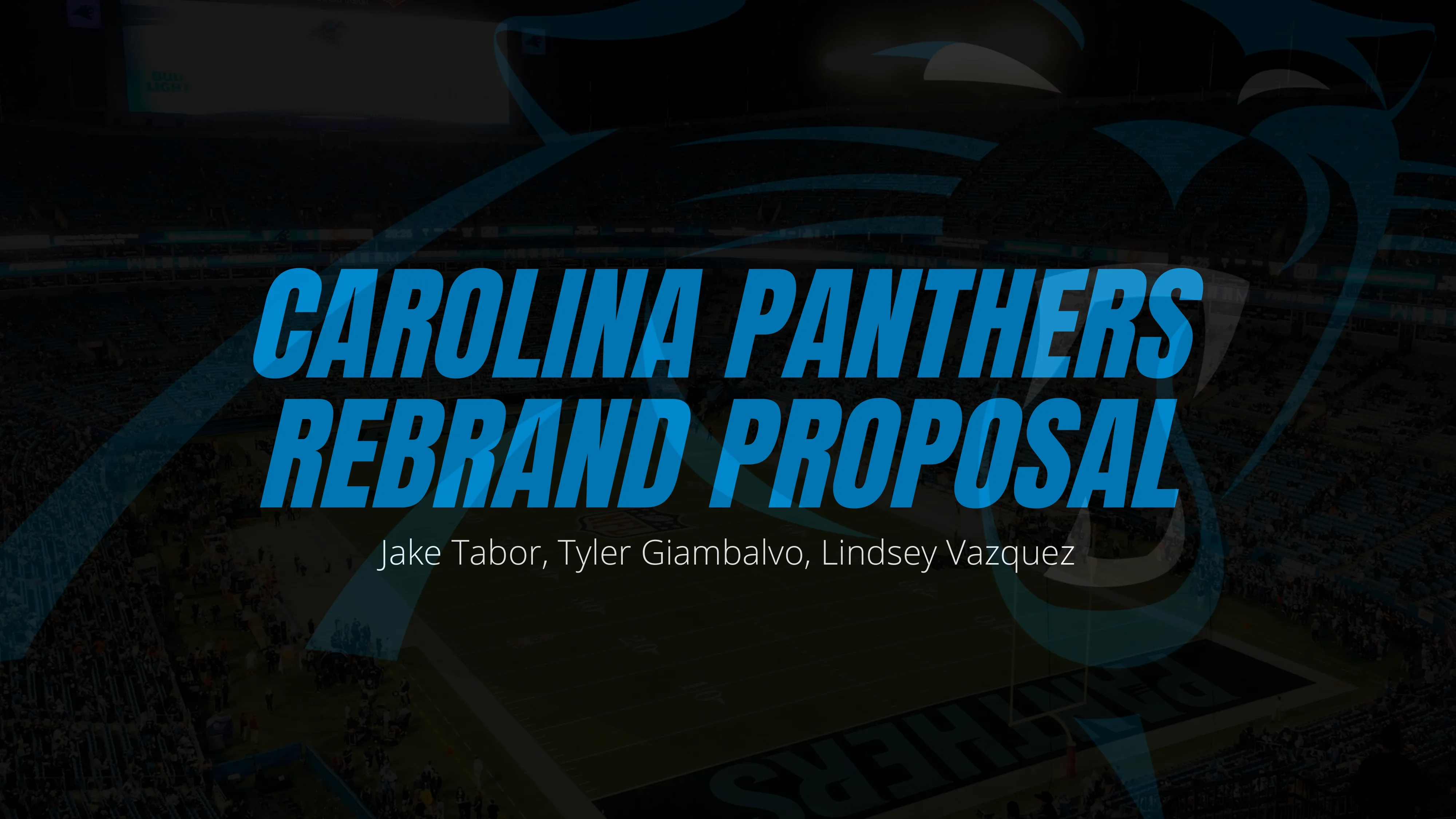 Carolina Panthers Rebrand Proposal